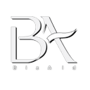BizAid Smart logo