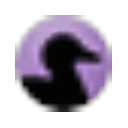 Black Duck SCA logo