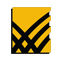 BlackLine Cash Application logo
