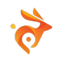 Bunny DNS logo