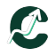 Clarevon Revenue Recognition logo