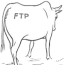 HostedFTP logo