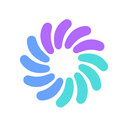 Planir Multi-Entity Consolidation logo