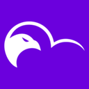 Skyhawk Security BAS logo