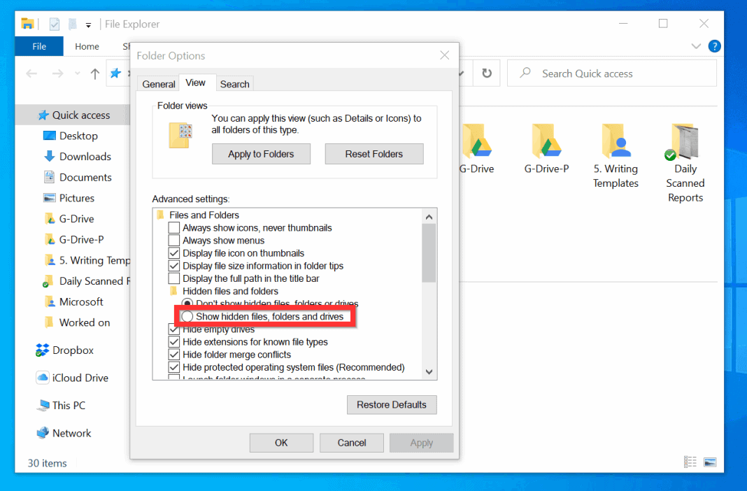 cannot view hidden files windows 10