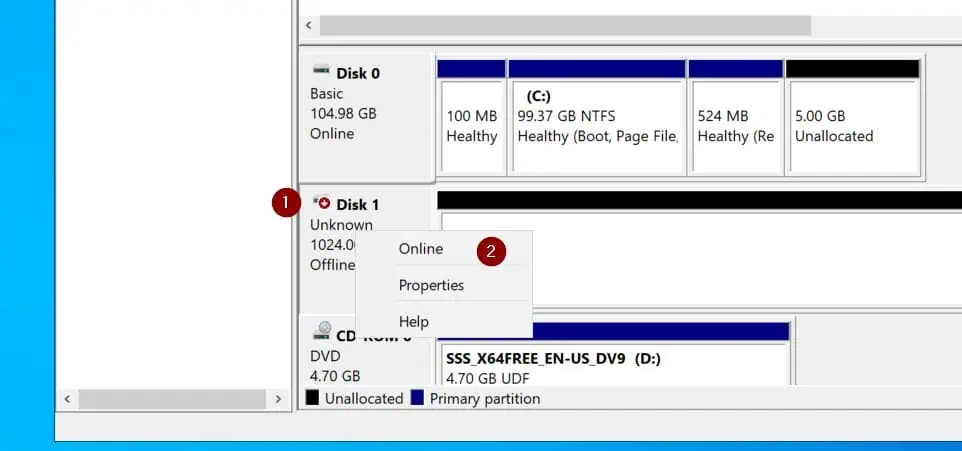 Bring the MPIO disk online